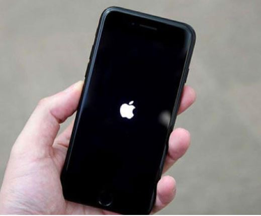 iPhone no pasa de la manzanita
